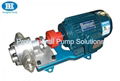 External gear pump