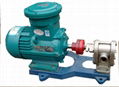 Honghai 2CY Series Gear Pump 3