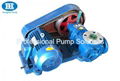 Rotor oil pumps 2