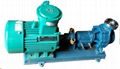 RY Water-Cooled Hot Oil Circulation Pump for Petroleum Chemical Industry 4