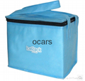 Cheap disposable non woven  promotional  sea food cooler bag  2