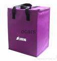 Cheap disposable non woven  promotional  sea food cooler bag  6