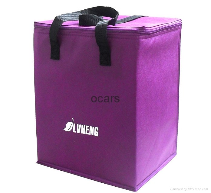 Cheap disposable non woven  promotional  sea food cooler bag 