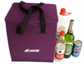 Cheap disposable non woven  promotional  sea food cooler bag  7