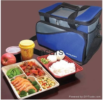 Outdoor insulated two person PEVA cooler bag  4
