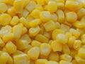 yellow corn