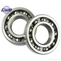 Plastic Bearing Deep Groove Ball Bearing