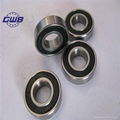 Stainless Steer Deep Groove Ball Bearing