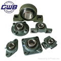 Pillow Block Bearing in Stainless Steel Water Pump Bearing Roller Bearing 1