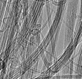 Carbon nanotube CNTs 99%
