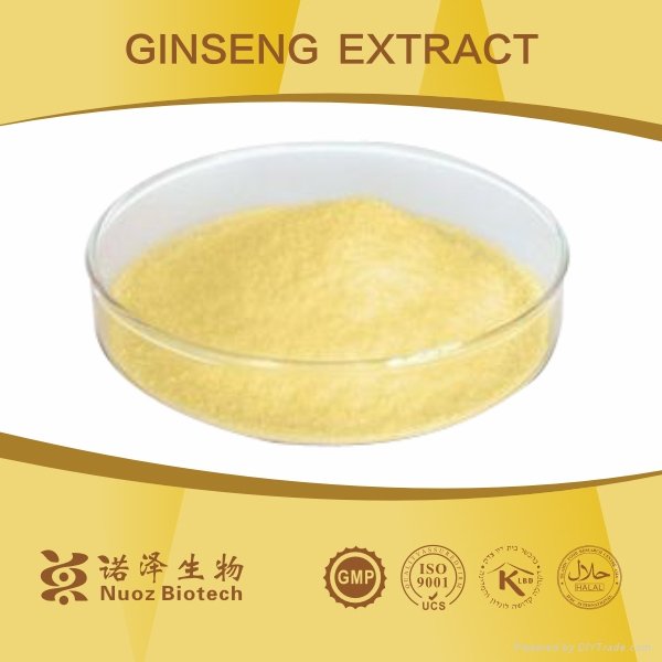 100% Natural Panax Ginseng Extract 2
