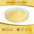 100% Natural Panax Ginseng Extract 2