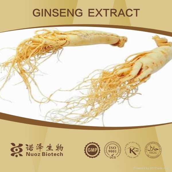 100% Natural Panax Ginseng Extract 4