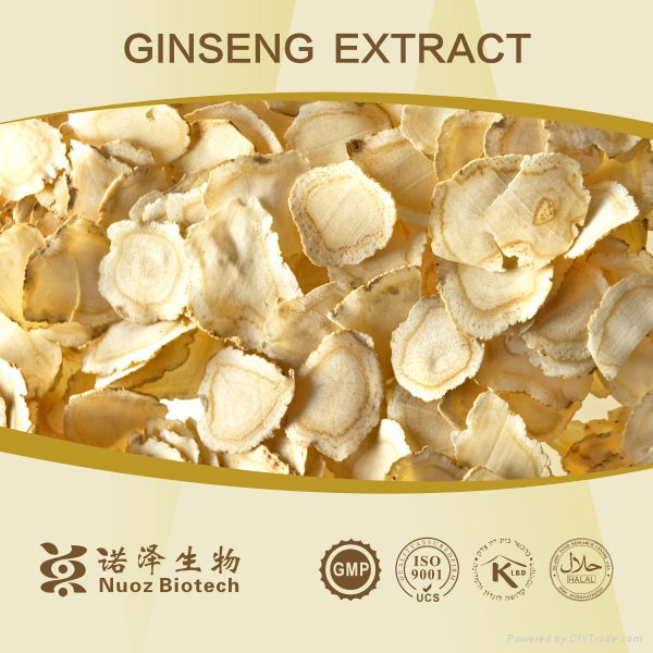 100% Natural Panax Ginseng Extract 5