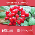 2014 The Most Favorable Price Ginseng Extract Ginsenoside 80% 5