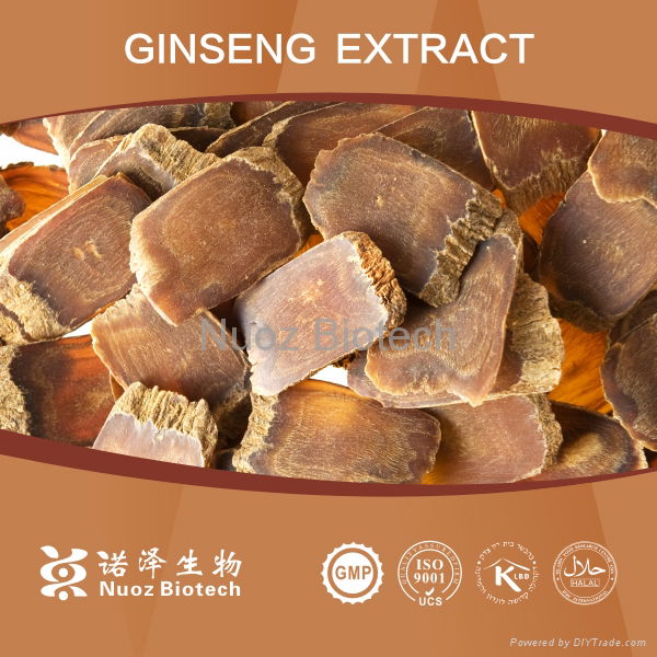 Wholesale Panax Ginseng Berry Extract