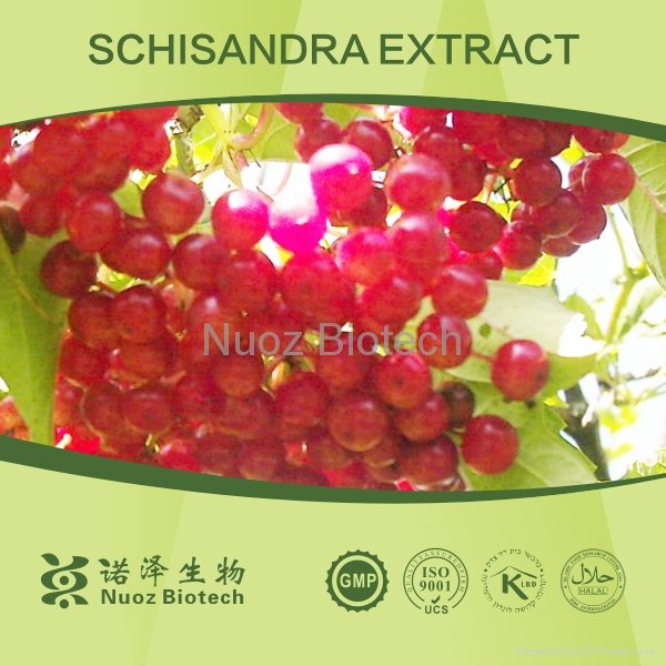 Pure Natural Fructus Schisandrae Chinensis 1
