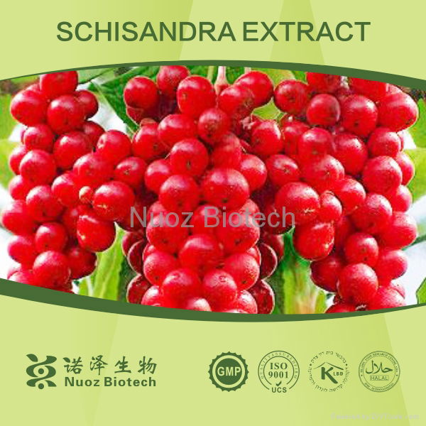 Factory price Schisandra Chinensis Extract