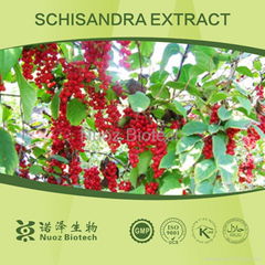 Nuoz Supply Schisandra Chinensis Extract