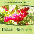 Yellow-Brown Powder Schisandra Chinensis Powder 1