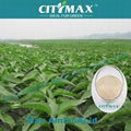 Amino acid organic fertilizer powder