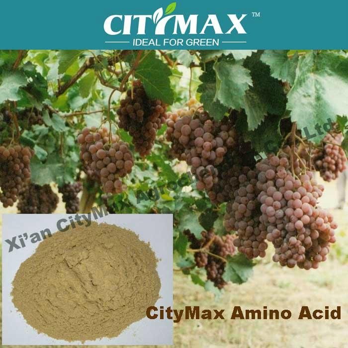 amino acid organic fertilizer, buy amino acid,pure amino acid  3