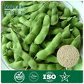 Soybean Extract