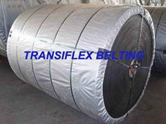 Heat Resistant Conveyor Belt