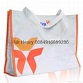 Non-woven promotion bags 2