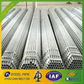 pre galvanized carbon steel pipe Q195 1