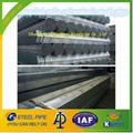 pre galvanized carbon steel pipe Q195 2