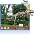  dinosaur skeleton for exhibition 3