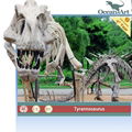  dinosaur skeleton for exhibition 4