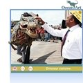 realistic dinosaur costume 3