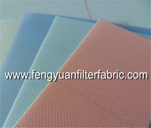 Polyester Double Layers Forming Fabric 5