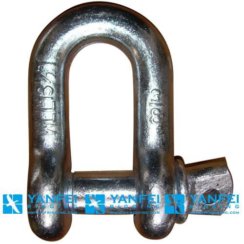 G210 D Shackle of Chain Shackle 2