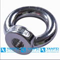 Stainless Steel Eye Bolt in DIN 582 1