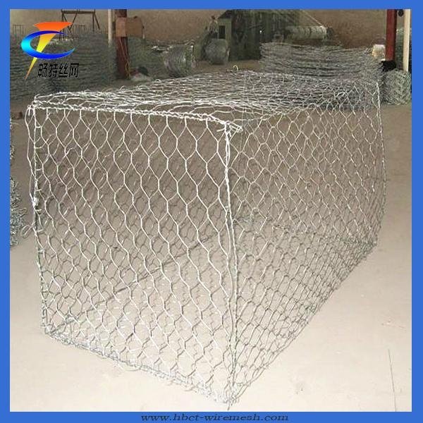 High Quality and Low Price Gabion Mesh 2