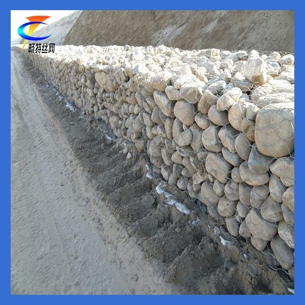 Factory Price of High Quality Gabion Wire Mesh