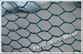 Hexagonal Netting 2