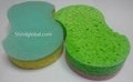 Cellulose Sponge 1