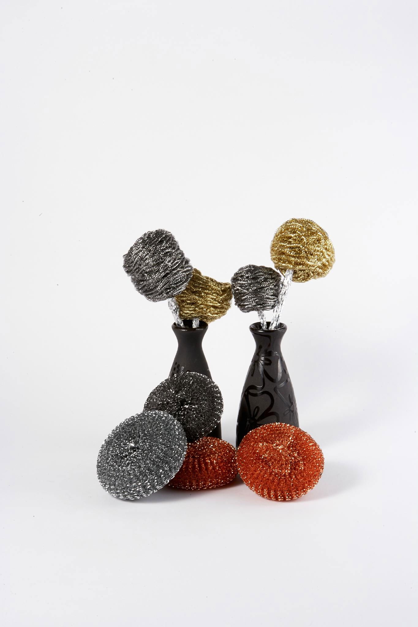 stainless scourers