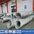 Q195 eg electro galvanized wire china supplier 1