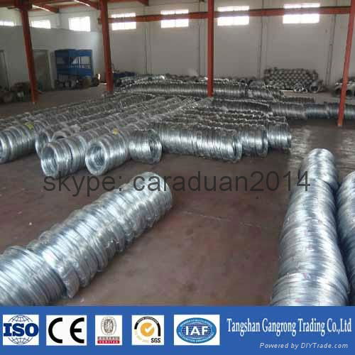 Q195 eg electro galvanized wire china supplier 2