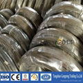 Q195 eg electro galvanized wire china supplier 3