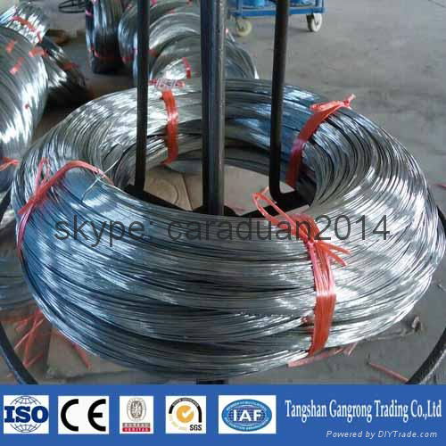 Q195 eg electro galvanized wire china supplier 4