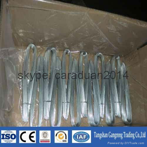 Q195 eg electro galvanized wire china supplier 5