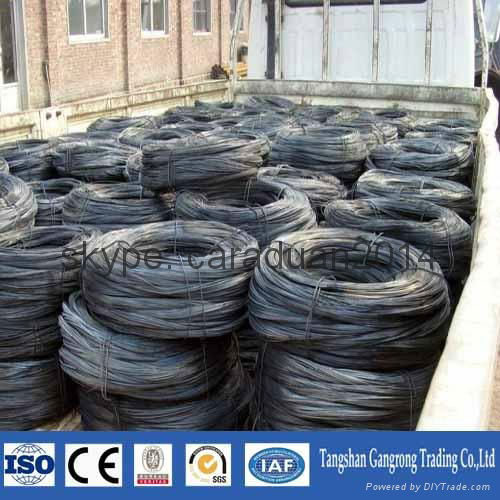 SAE 1008 black annealed iron wire 2