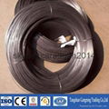 SAE 1008 black annealed iron wire 4