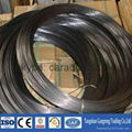 SAE 1008 black annealed iron wire 5